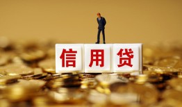成都19哪有个人借贷-成都19小额贷款公司-成都19私借空放免费上门
