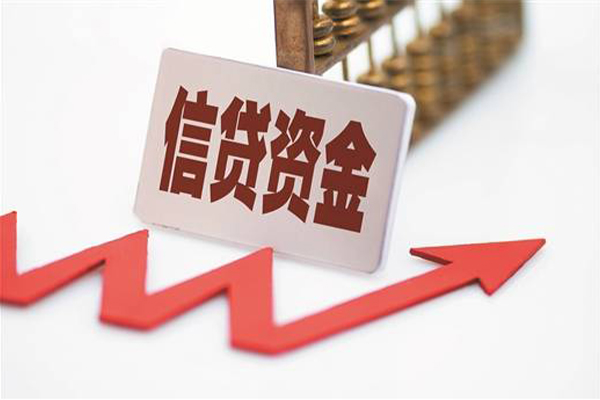 成都19大额短借